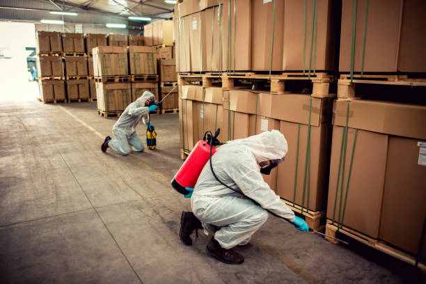 Trusted Fulshear, TX Pest Control Experts