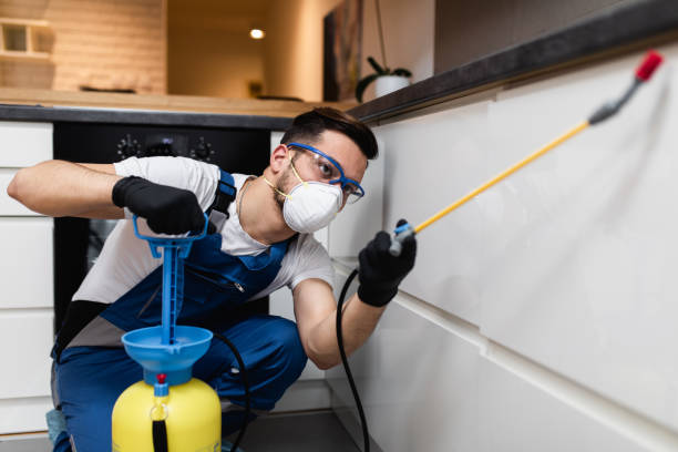 Best Pest Removal Services  in Fulshear, TX