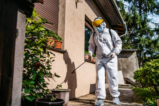 Best Residential Pest Control  in Fulshear, TX