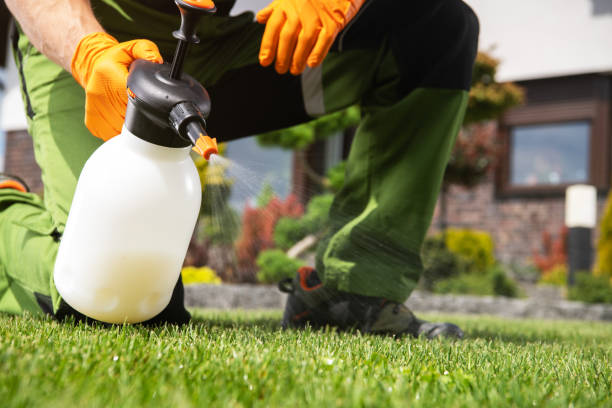 Best Bed Bug Extermination  in Fulshear, TX