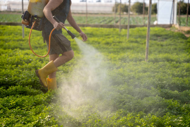 Best Affordable Exterminators  in Fulshear, TX