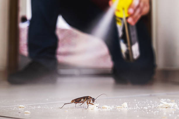 Best Residential Pest Control  in Fulshear, TX